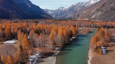 Sonbaharda Altai dağları. Chuya Nehri. Hava görünümü.