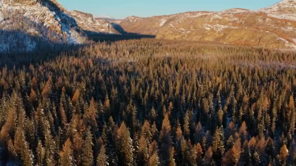 Sonbaharda Altai Dağları Chuya Nehri Hava Görünümü — Stok video