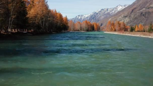 Алтайские Горы Осенью Река Чуя Вид Воздуха — стоковое видео