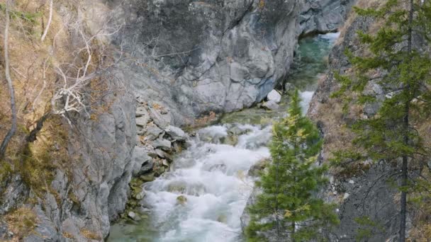 Sonbaharda Doğu Sayanlar Dağ Nehri Kyngarga — Stok video