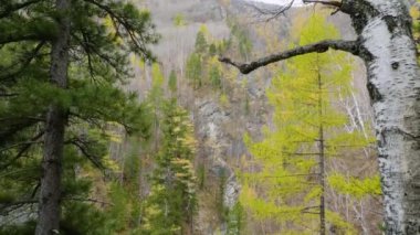 Sonbaharda Doğu Sayanlar. Dağ nehri Kyngarga.