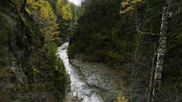 Eastern Sayans Autumn Mountain River Kyngarga — Stock Video