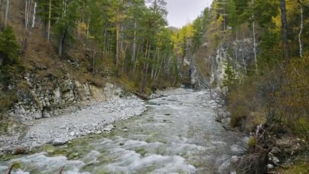 Ostsayer Herbst Gebirgsfluss Kyngarga — Stockvideo