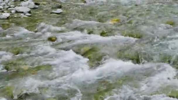 Oostelijke Sayans Herfst Bergrivier Kyngarga — Stockvideo