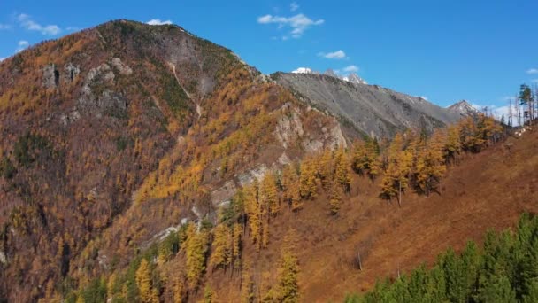 Oostelijke Sayans Herfst Tunkinskiye Goltsy Bergkam — Stockvideo