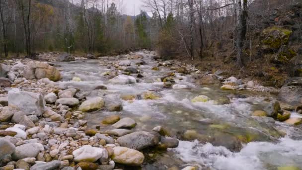 Surroundings Lake Baikal Khamar Daban Ridge Slyudyanka Mountain River — Stock Video