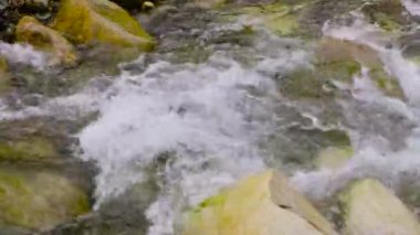 Baykal Gölü 'nün çevresi. Khamar-Daban sırtı, Slyudyanka dağı nehri..