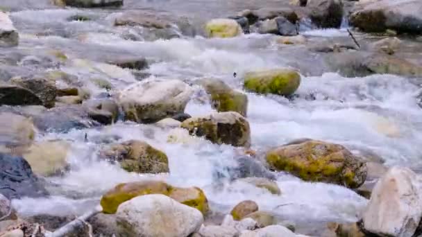 Omgivningar Sjön Baikal Khamar Daban Åsen Slyudyanka Bergsflod — Stockvideo