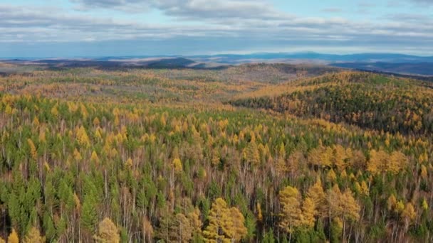 Siberia Oriental Taiga Montaña Otoño Cresta Khamar Daban Vista Aérea — Vídeos de Stock