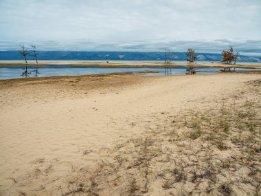Sonbaharda Baykal Gölü. Olkhon Adası 'nın kum tepeleri.