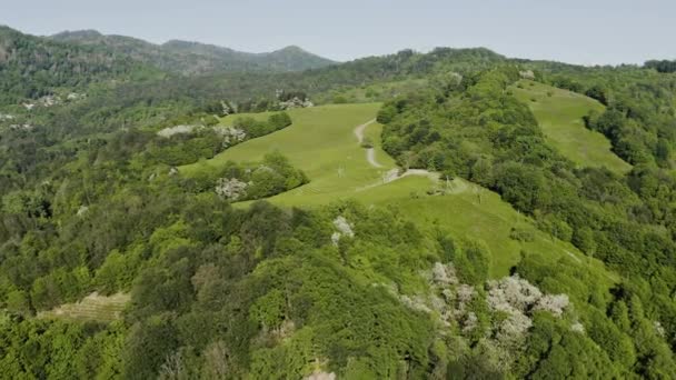 Caucase Nord Plantation Thé Matsesta Vue Aérienne — Video