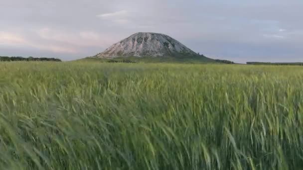 Resto Recife Mar Antigo Composto Pedra Calcária Shikhan Toratau Vista — Vídeo de Stock