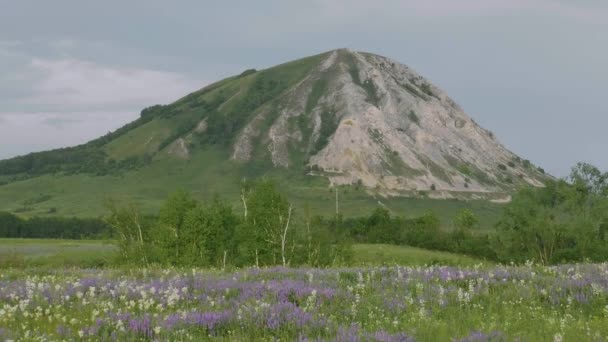 Залишки Рифу Стародавнього Моря Складався Вапняку Сіхана Торатау Вид Повітря — стокове відео