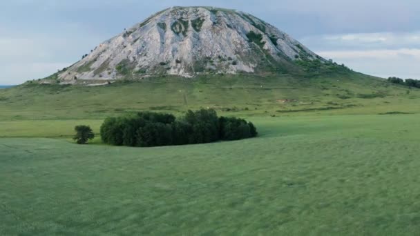 Υπόλοιπο Του Υφάλου Της Αρχαίας Θάλασσας Που Αποτελείται Από Ασβεστόλιθο — Αρχείο Βίντεο