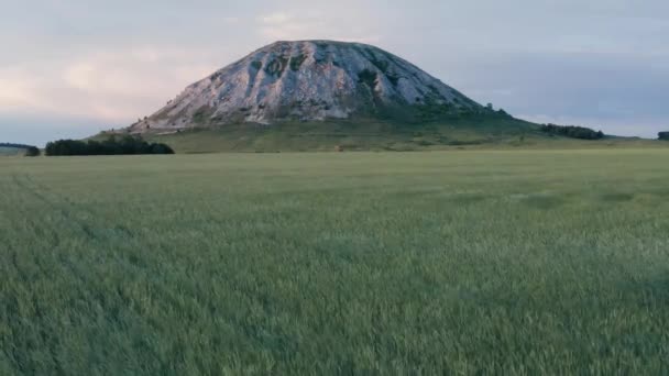 Overblijfselen Van Het Rif Van Oude Zee Samengesteld Uit Kalksteen — Stockvideo