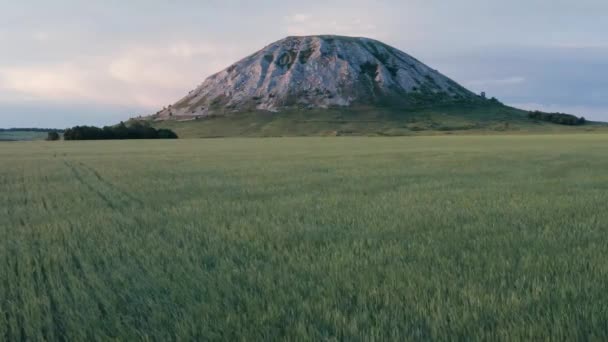 Overblijfselen Van Het Rif Van Oude Zee Samengesteld Uit Kalksteen — Stockvideo