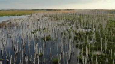 Batı Sibirya. Federal otoyol R-254 