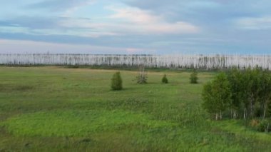 Batı Sibirya. Federal otoyol R-254 