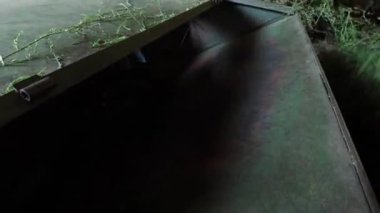 Tuzlu otun öğütülmesi (Salsola collina) ateş eder.