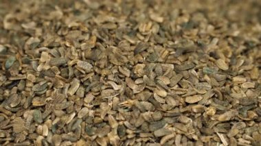 Yünlü dulavratotu tohumları (Arctium tomentosum)).