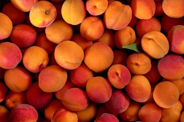 Yukarıdan aşağıya doğru - kayısı yığını, küçük yeşil bir yaprak ile