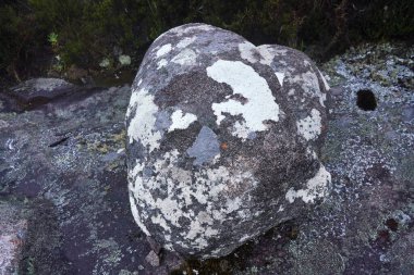 Yosun kaplı büyük kaya, Andringitra Ulusal Parkı, Madagaskar