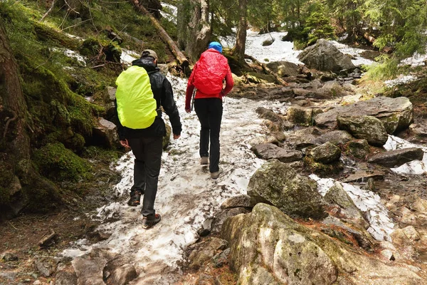 Two Hikers Wearing Jackets Cevered Rain Coats Walking Forest Snow — Stock Photo, Image