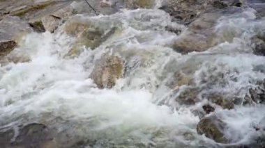 Bahar nehrinde kayaların üzerinden akan beyaz dalgalı ve köpüklü hızlı su, yavaş çekim videosu