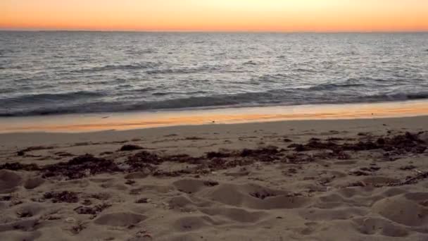 Calmo Oceano Com Ondas Pequenas Perto Praia Logo Após Pôr — Vídeo de Stock