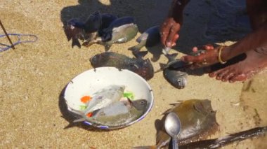 Afrikalı balıkçı sahilde yeni yakalanan deniz balığının pullarını topluyor, küçük bir bıçakla temizliyor, ellerinde detaylar var.