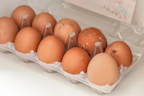 Rotten egg - Stock Image - C003/8718 - Science Photo Library