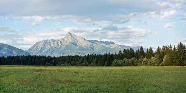 Grön Äng Med Liten Skog Och Berg Krivan Topp Slovakisk — Stockfoto