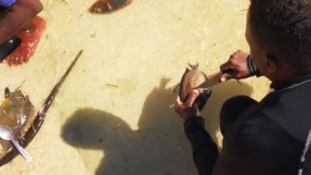 Local Malagasy Fisherman Neoprene Suit Cleaning Freshly Caught Fishes Scales — Stock Video