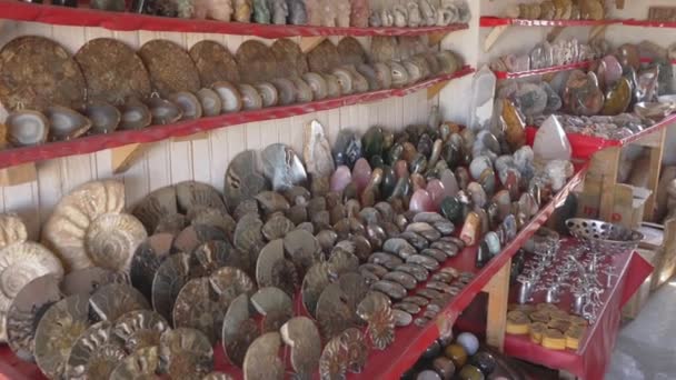 Suvenýry Fosilních Amonitových Kamenů Zkamenělého Dřeva Vystavené Trhu Suvenýry Antananarivu — Stock video