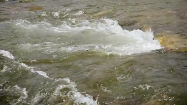 Água Branca Formando Sobre Rochas Rio Primavera Vídeo Câmera Lenta — Vídeo de Stock