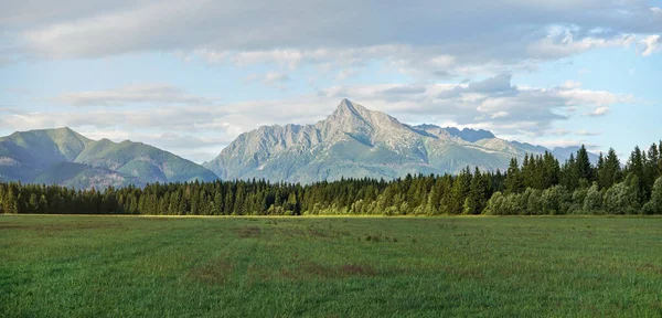 Summer Meadow Panorama Forest Mount Krivan Slovak Symbol Peak Distance — Stock Photo, Image