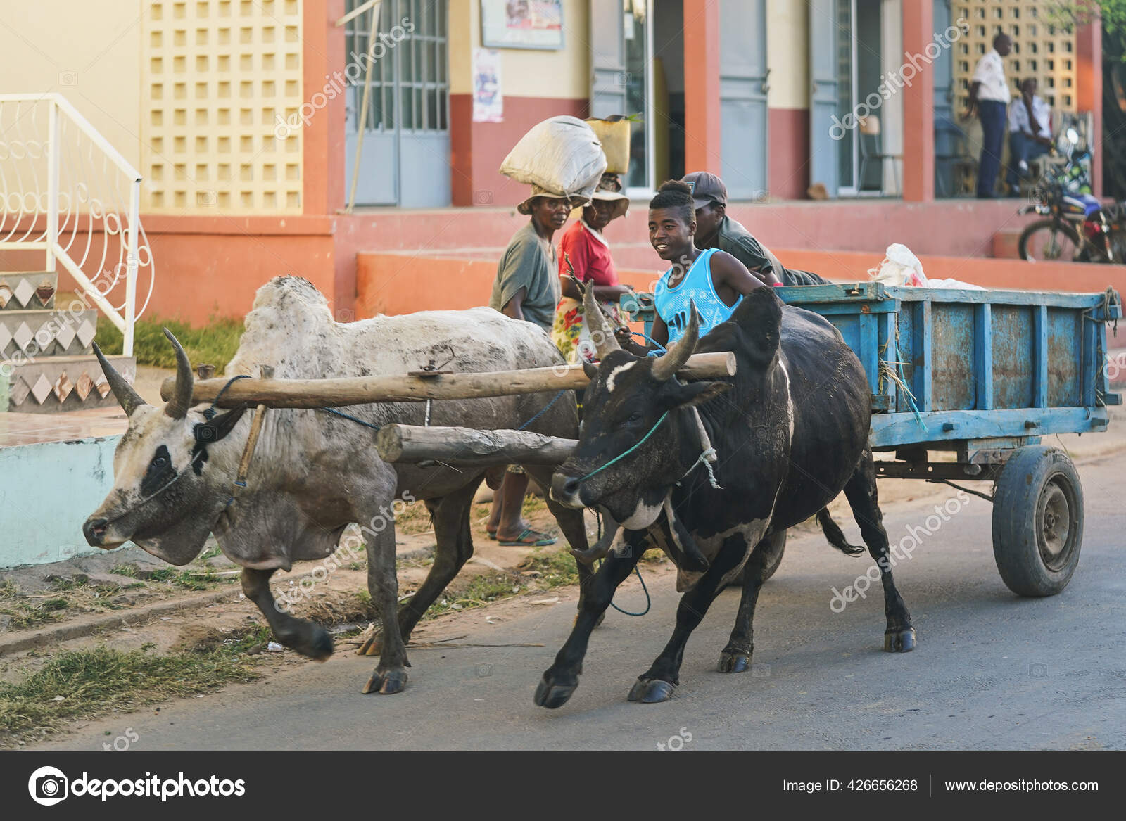 마다가스카르의 노히라 2019 수없는 남자가 카트를 저녁에 돌아오고 이상의 현지인이 — 스톡 에디토리얼 사진 © lubo.ivanko  #426656268, image size:1600x1167