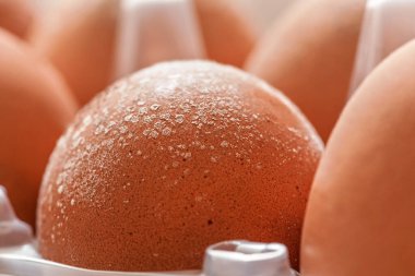 Islak ve soğuk buzdolabında uzun, yakın çekim makro detayı için uygun olmayan şekilde depolanmış yumurtaların üzerinde küf büyür.