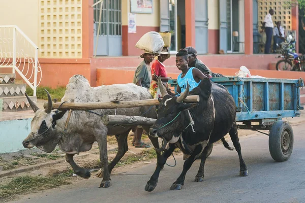Ranohira Madagaszkár 2019 Április Ismeretlen Madagaszkári Férfi Este Hazafelé Lovagol — Stock Fotó