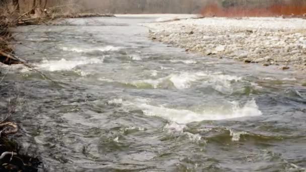 Nehir Ilkbaharda Akar Beyaz Dalgalar Oluşturur Kıyıda Yuvarlak Taşlar Yavaş — Stok video