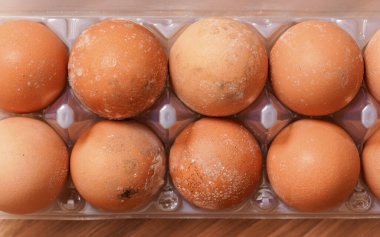 Bozuk yumurtaların üstünde küflenmiş küf uzun zamandır soğuk ve ıslak buzdolabında depolanmış.