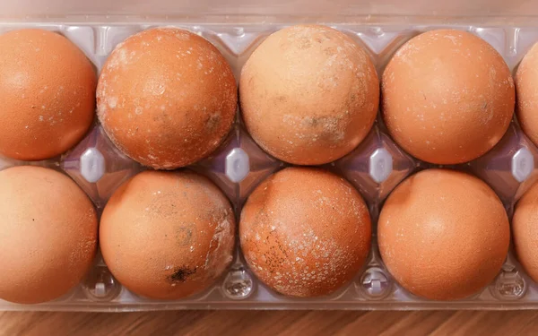 Molde Moho Que Crece Los Huevos Estropeados Almacenados Incorrectamente Nevera — Foto de Stock