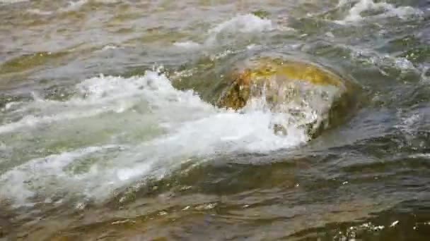 Bahar Nehrinde Akan Sular Küçük Kayaların Üzerinde Yavaş Çekim Videoları — Stok video