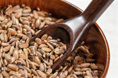 Kutsal süt devedikeni tohumları - Silybum marianum - küçük tahta kaşık ve fincanda