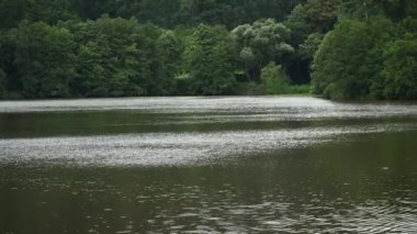 Bulutlu bir günde sakin göl ve arka planda ağaçlarla ilgili video gösterimi
