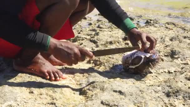 Lokal Madagaskisk Fiskare Rengöring Nyfångad Blåsfisk Stranden Med Kniv Detalj — Stockvideo