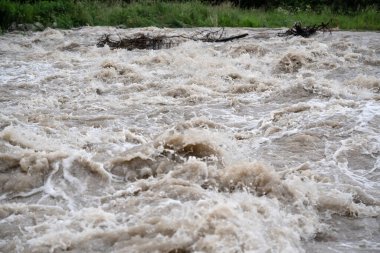 Kirli su nehirde hızla akıyor, arka planda ağaçlar kıyıya yakın.