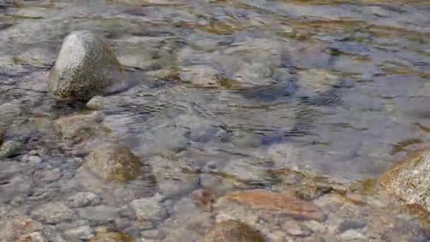 浅い川の小さな波 澄んだ水の下に見える丸い石 スローモーションビデオ — ストック動画