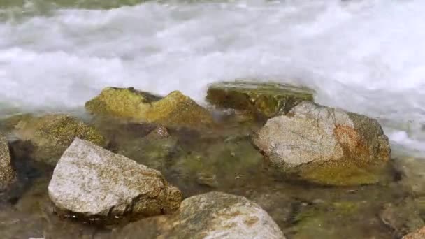Acqua Del Fiume Scorre Piccole Rocce Illuminate Dal Sole Creando — Video Stock