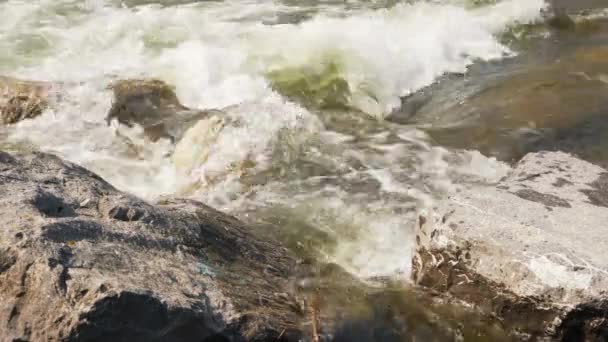 Быстрая Родниковая Река Протекающая Над Камнями Освещенными Камнями — стоковое видео